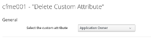 Dalete Custom Attribute