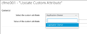Update customa ttribute